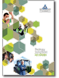 Strategy Statement 2013 thumbnail