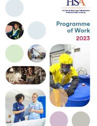 Programme of Work 2023 thumbnail