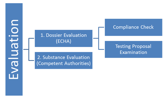 Evaluation Flow Chart Evaluation Flow Chart