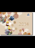Annual Report 2014 thumbnail
