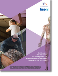 Guide on Prevention and Management of Musculoskeletal Disorders (MSDs) thumbnail