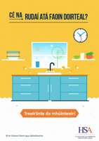 Teacher Guidelines Irish Version thumbnail