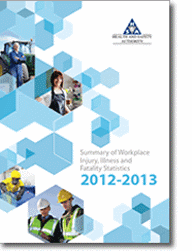 Statistics Report 2013 thumbnail