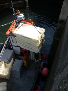 Landing Landing the Catch