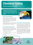 Chemical Safety Information Sheet thumbnail