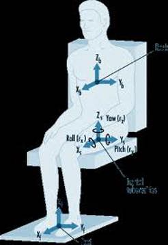 whole body vibration whole body vibration