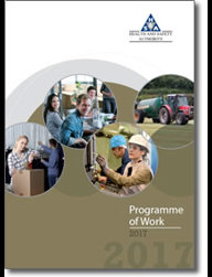 Programme of Work 2017 thumbnail