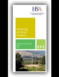 Electricity at Work - IFSG 804 thumbnail