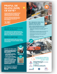 HSA Silica Poster A3 - Romanian thumbnail