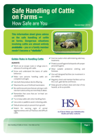 Safe Handling of Cattle on Farms Information Sheet thumbnail