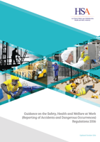 Accident and Dangerous Occurrences Reporting 2022 thumbnail