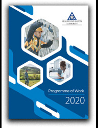 Programme of Work 2020 thumbnail