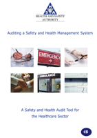 Auditing Healthcare thumbnail