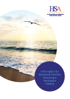 HSA Bereavement Advice front page preview
              